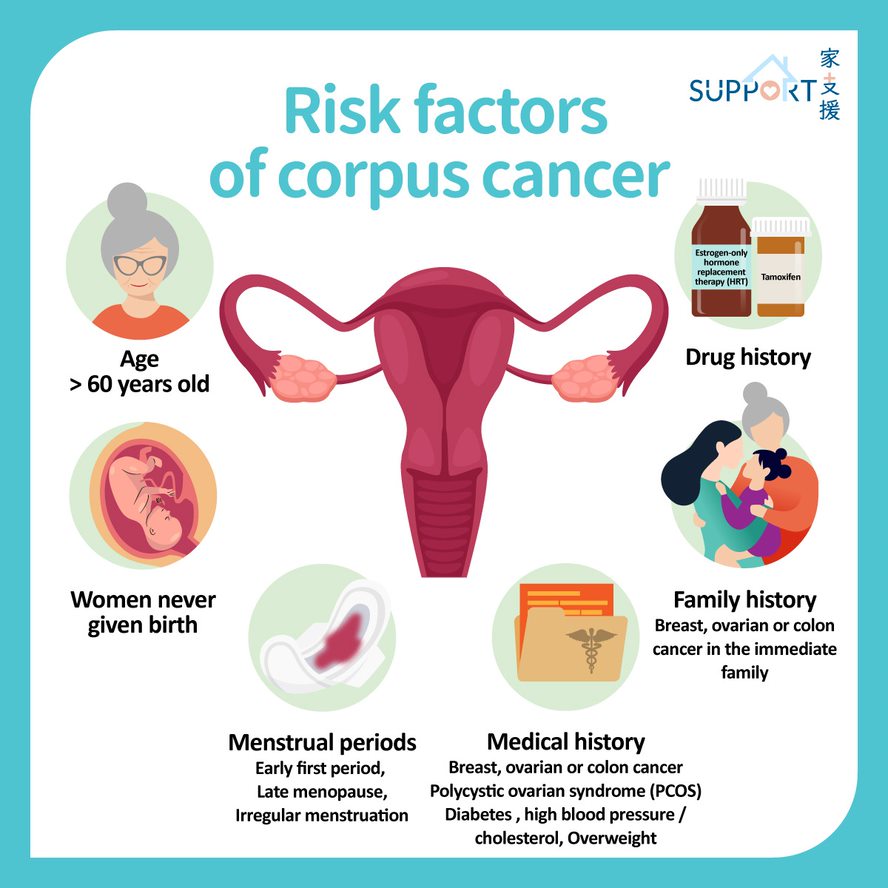 Predicting the risk of endometrial cancer in postmenopausal women